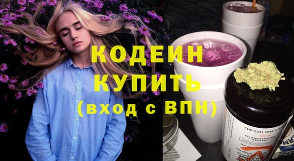 мдпв Ладушкин