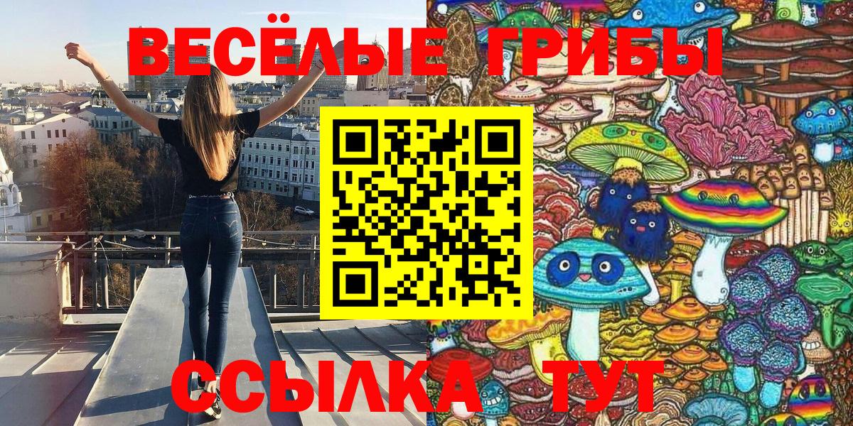 Малгобек  Галлюциногенные грибы Psilocybine cubensis  Вход с VPN 